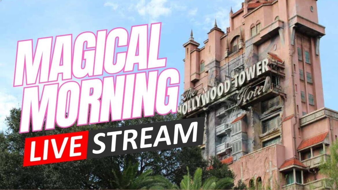 Live! At Disney’s Hollywood Studios, It’s The Magical Morning Livestream | Walt Disney World Live! At Disney's Hollywood Studios, It's The Magical Morning Livestream | Walt Disney World