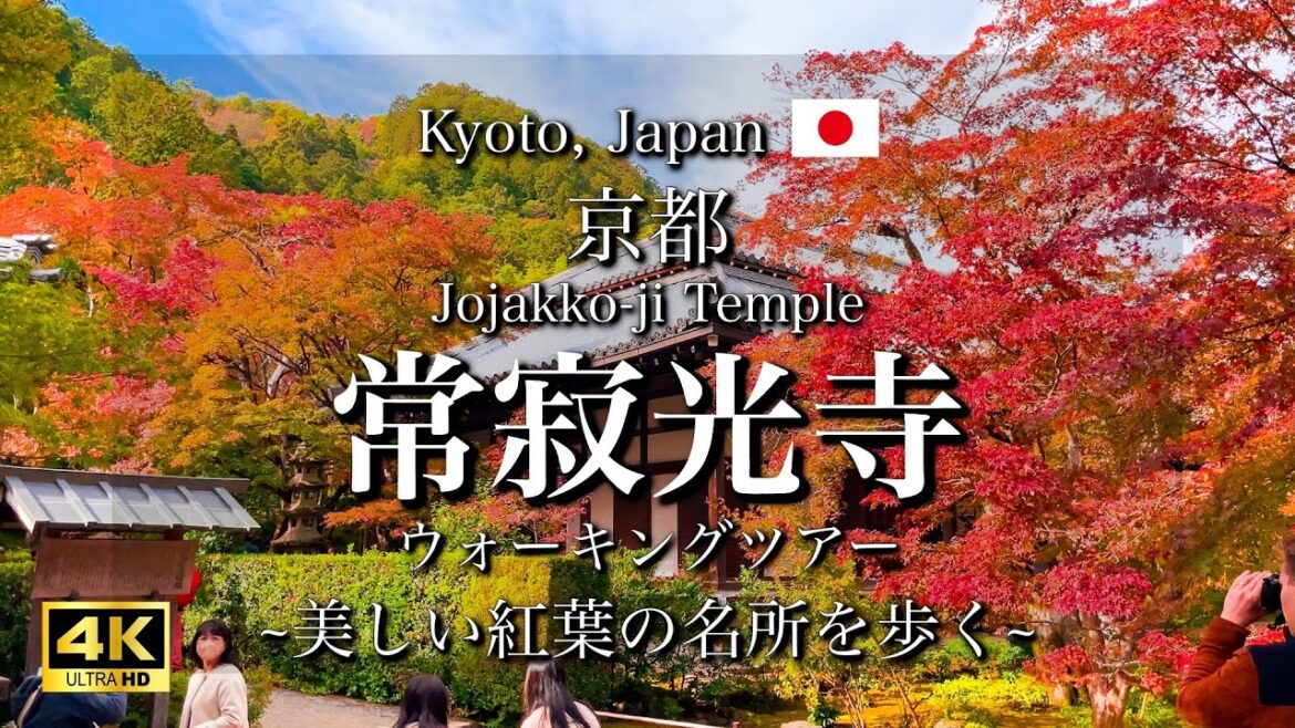 Kyoto, Japan "Jojakko-ji Temple" | Famous Autumn Leaves Spot in Saga-Arashiyama [4K]