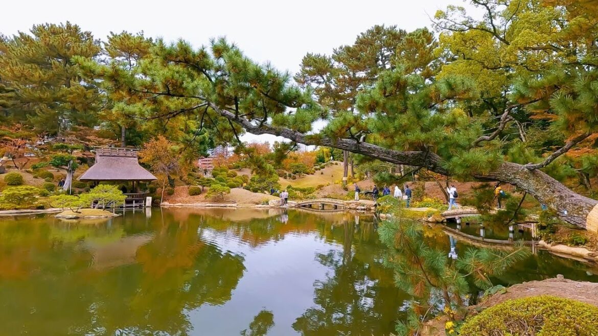 Japanese Garden: Is This The Best in Japan?