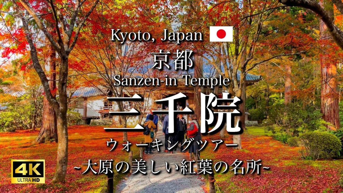 Autumn Leaves at Sanzen-in Temple, Kyoto, Japan | Beautiful Landmarks of a Kyoto Trip [4K]