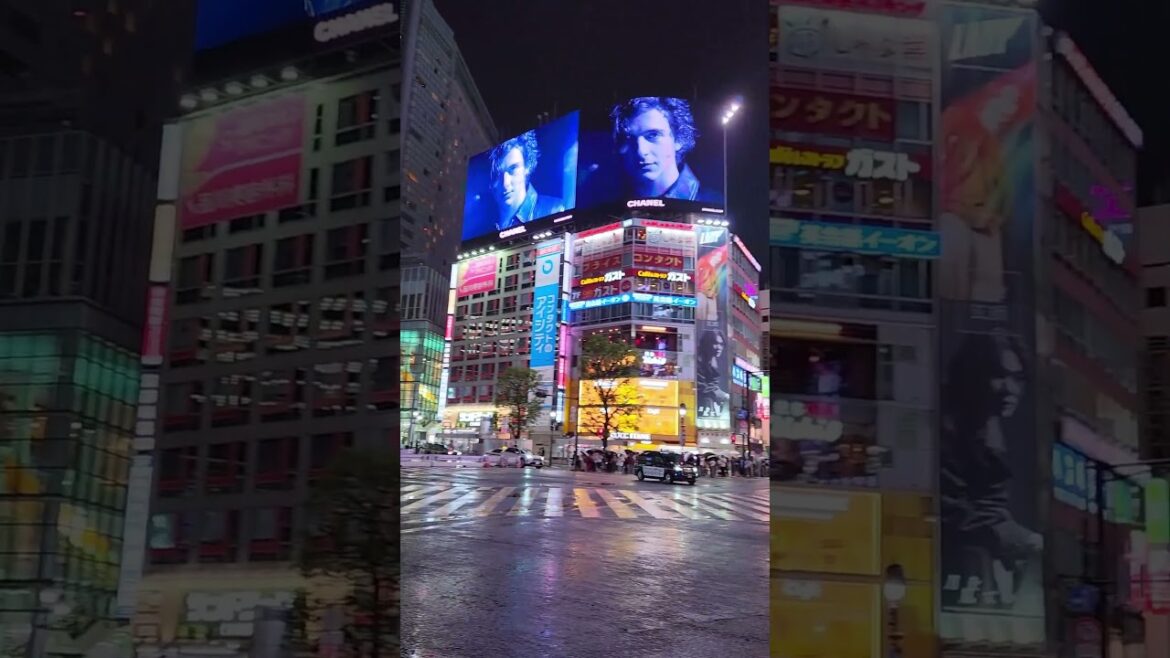 Shibuya Crossing in the Rain SHIBUYA TOKYO 東京 #shorts #japan #shibuya