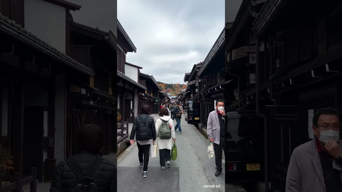 Takayama old township walking tour | FULL VIDEO in the Description | #shorts #japan #nomadraul Takayama old township walking tour | FULL VIDEO in the Description | #shorts #japan #nomadraul