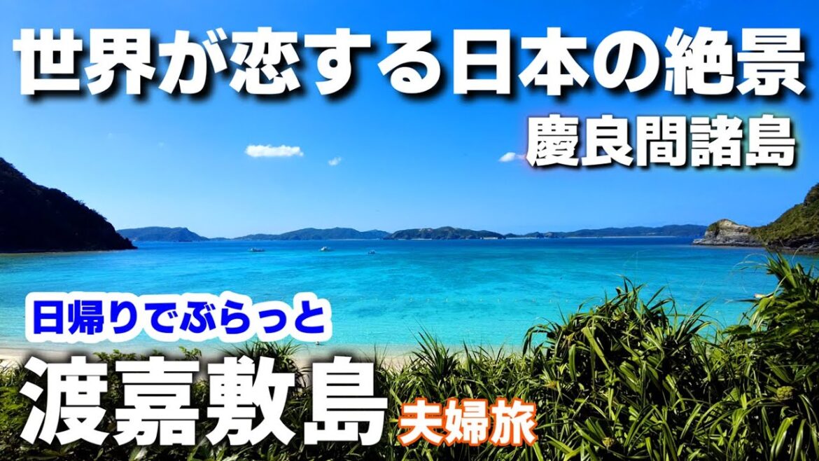【沖縄旅行】日帰り観光　世界が恋する慶良間ブルー渡嘉敷島