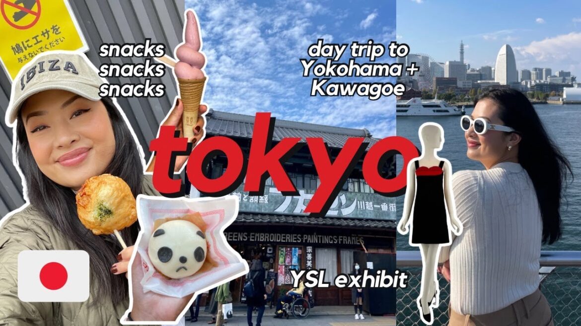 TOKYO vlog π―π΅βοΈπΌ | trip to Yokohama + Kawagoe, YSL exhibit, flea market, shopping haul + food! TOKYO vlog π―π΅βοΈπΌ | trip to Yokohama + Kawagoe, YSL exhibit, flea market, shopping haul + food!