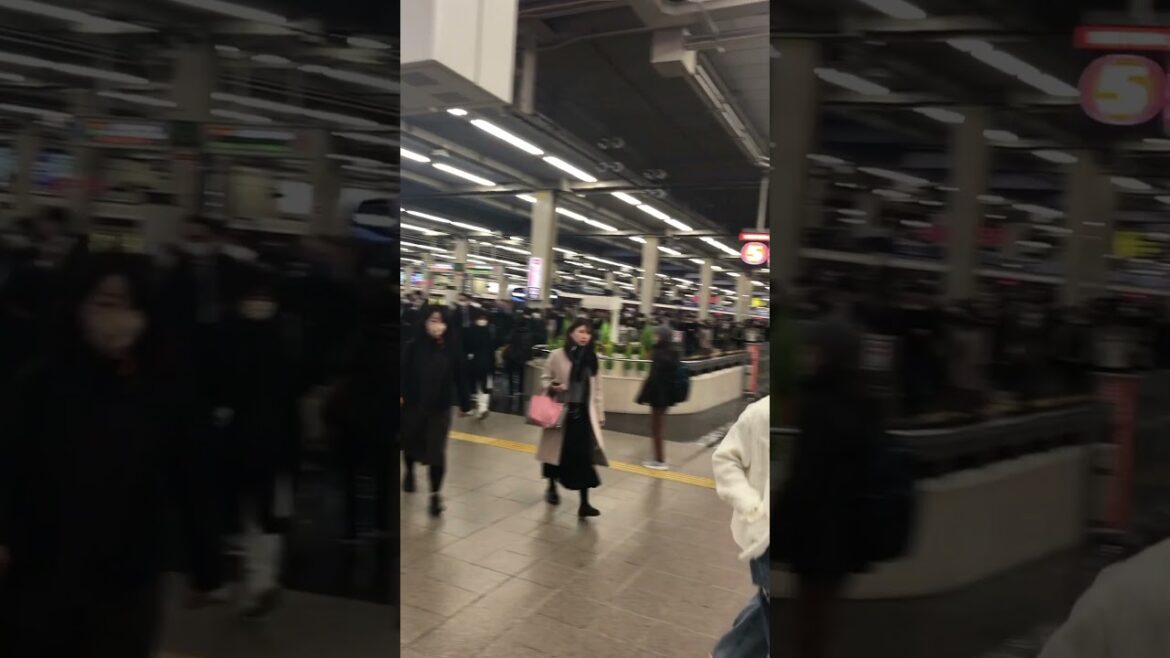 【OSAKA】7th Busiest Station in Japan - Umeda Station