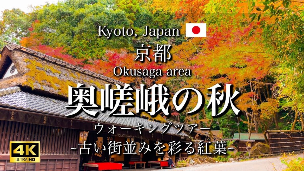 Kyoto, Japan "Okusaga(Saga Toriimoto)" Beautiful Autumn leaves | Arashiyama district [4K]