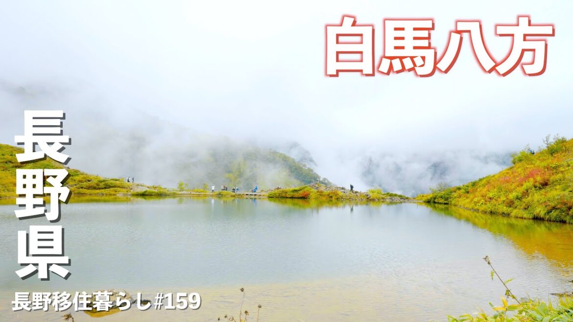 【長野移住】八方池に行った後は白馬の人気店巡り!!｜白馬｜グリンデル｜ドライブ｜田舎暮らし｜長野県｜4K