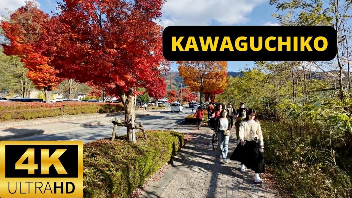 FUJIKAWAGUCHIKO, JAPAN 🇯🇵 [4K] Momiji — Koyo Autumn Leaves Festival