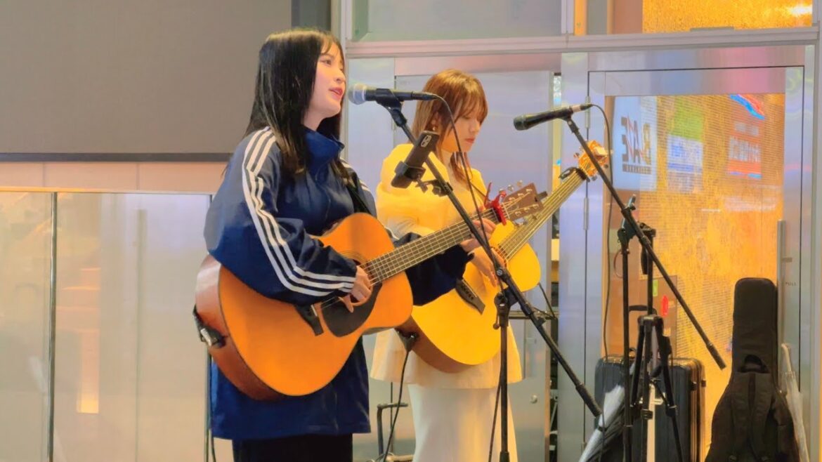 【4k hdr】Two cute girls singing in Kabukicho in Shinjuku Tokyo Japan | 【4k hdr】Two cute girls singing in Kabukicho in Shinjuku Tokyo Japan |
