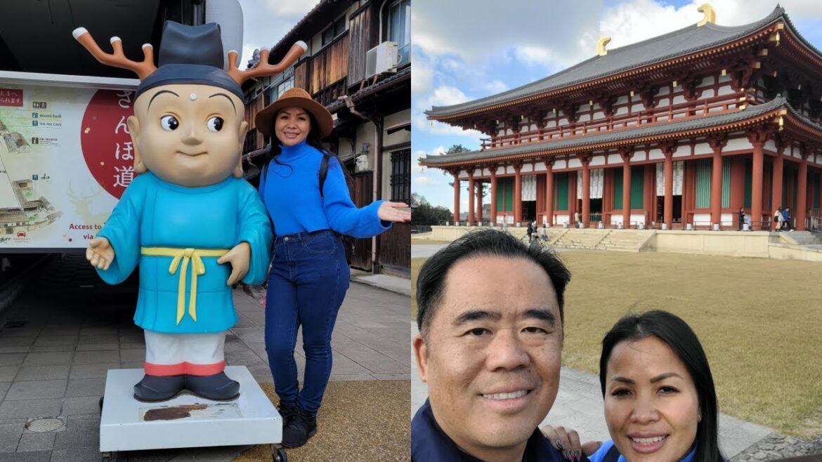 JAPAN-OSAKA-2023 (Ep.14: Visit Nara Park) JAPAN-OSAKA-2023 (Ep.14: Visit Nara Park)