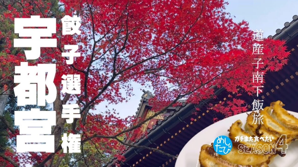 宇都宮餃子選手権★ガチまた食べたい7軒※SEASON４☆115（Subtitles：English,Thai,Korean,Chinese）