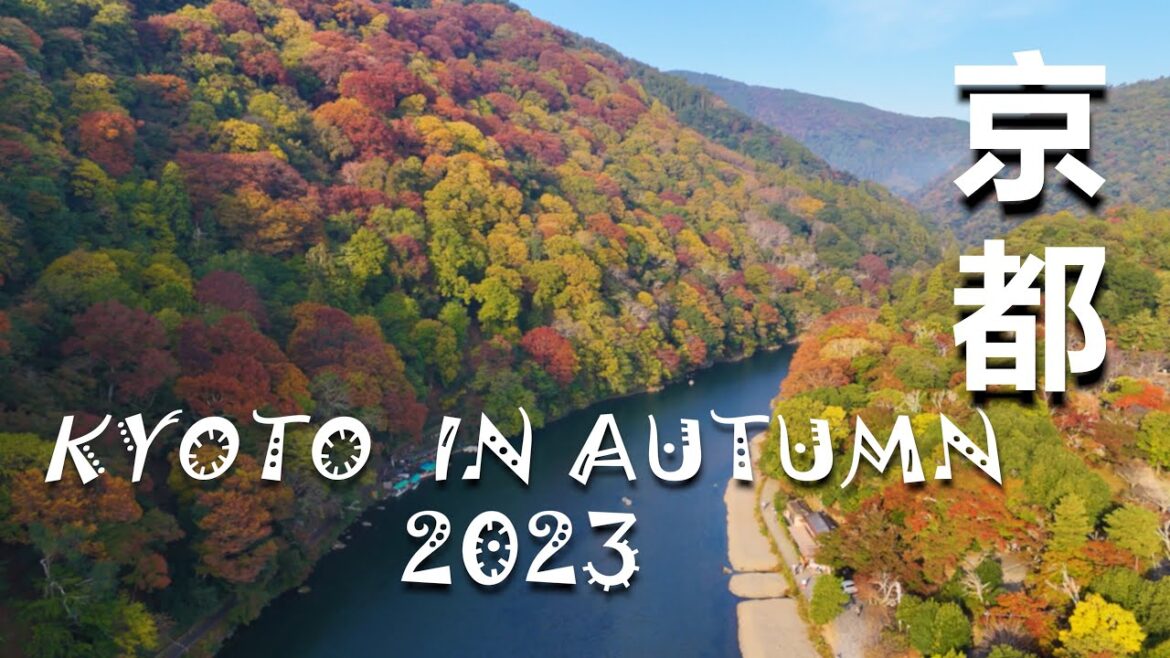 Kyoto In Autumn | 秋の京都 | Autumn leaves | 紅葉 | Most Ancient City In Japan | 2023  #arashiyama Kyoto In Autumn | 秋の京都 | Autumn leaves | 紅葉 | Most Ancient City In Japan | 2023  #arashiyama