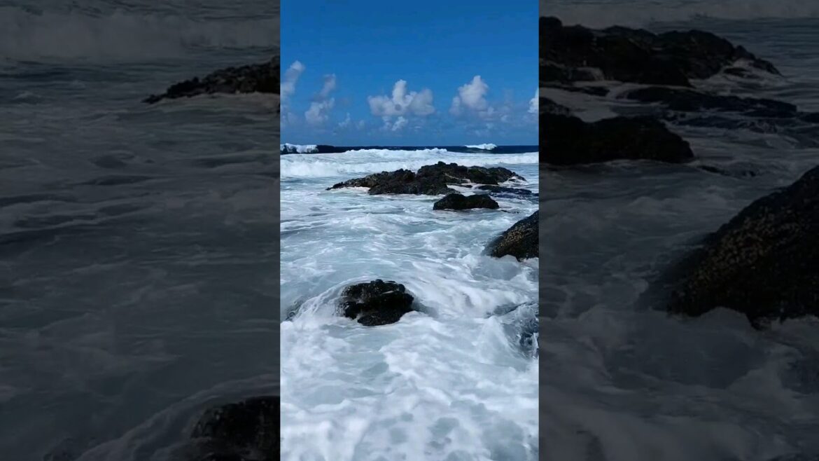 Sound of Ocean Waves #shorts  #beach #trending #travel