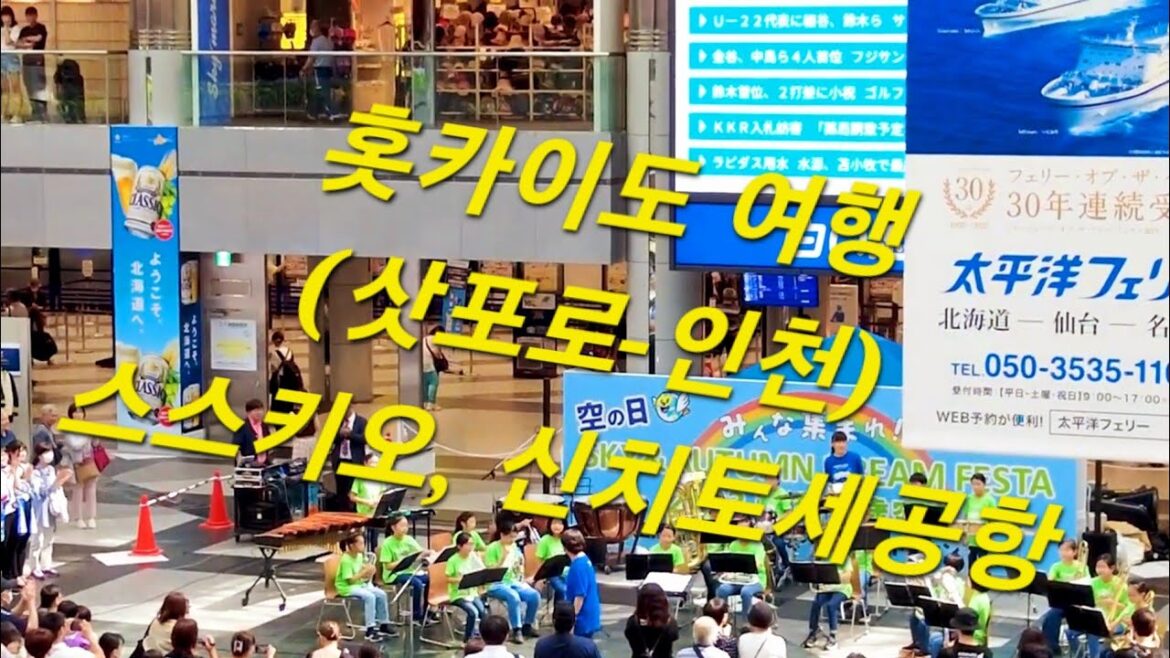 홋카이도 여행 (사포로-인천) 신치토세 공항, 귀국 : Hokkaido Travel(Sapporo-Inchen)New Chitose Airport, return home 홋카이도 여행 (사포로-인천) 신치토세 공항, 귀국 : Hokkaido Travel(Sapporo-Inchen)New Chitose Airport, return home