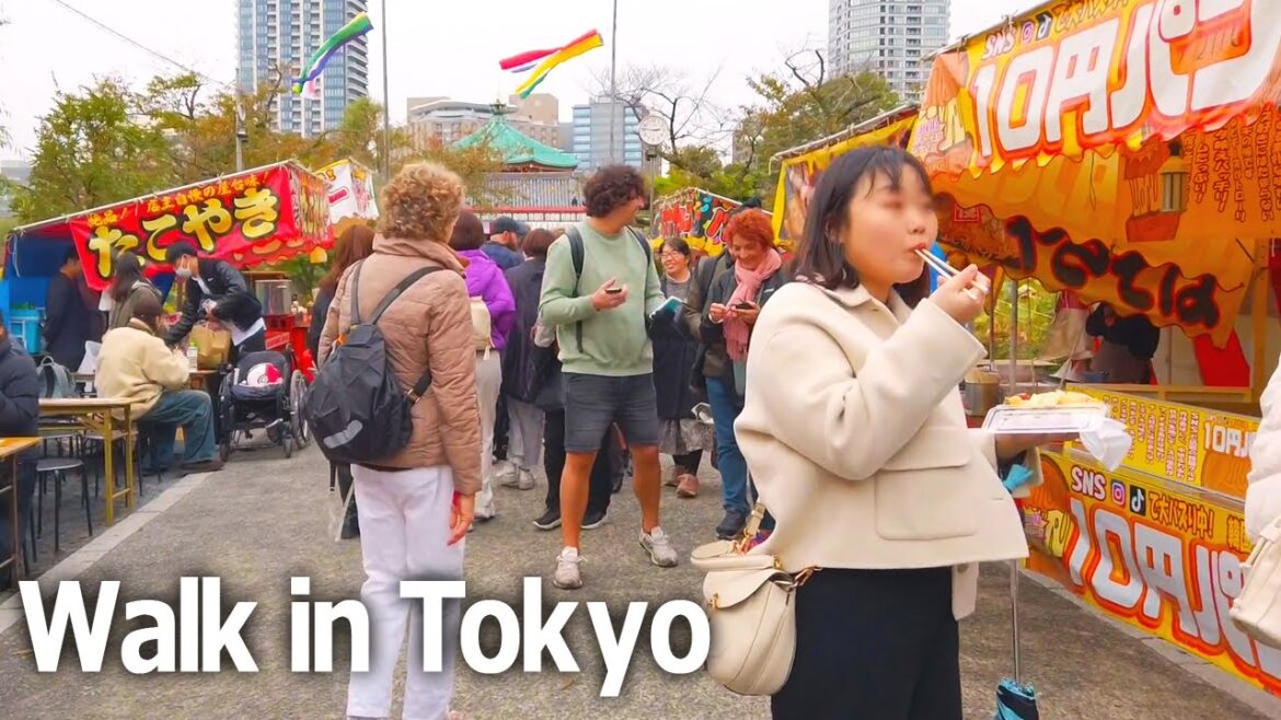 Tokyo walking tour - Ueno Park and event filled with attractions♪ (Nov. 2023)