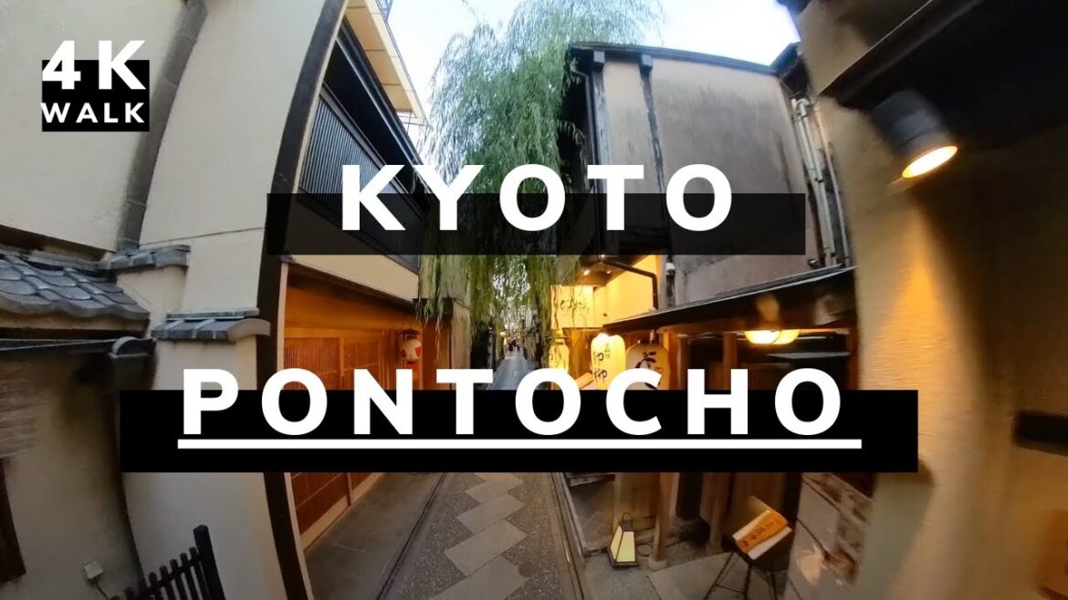 4K Walk in Pontocho, Kyoto’s Traditional Alleys & Nightlife 4K Walk in Pontocho, Kyoto's Traditional Alleys & Nightlife