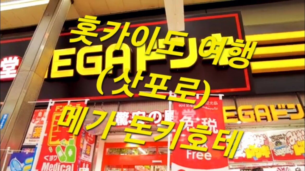 홋카이도 여행 (삿포로) 메가돈키호테 : Hokkaido Travel (Sapporo)Mega Don Quijote