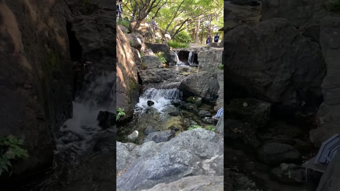 Shiratori Kouen Waterfall: A Hidden Gem in Nagoya Aichi, Japan