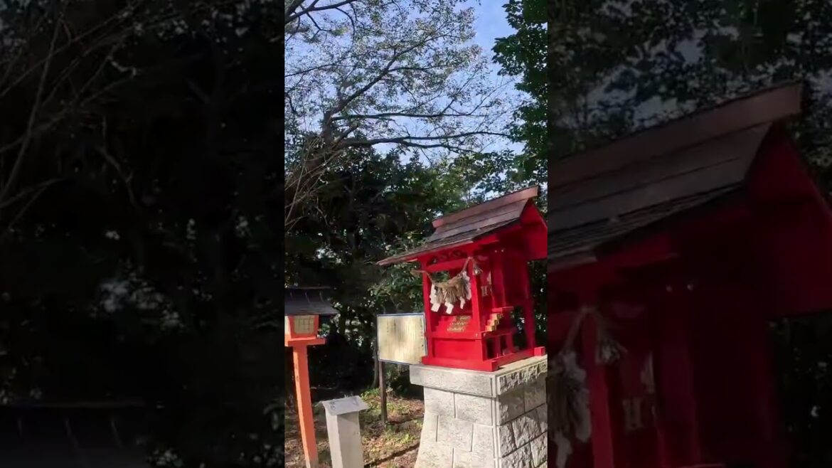 大好きな神様に会いに行く|愛知 尾張猿田彦神社|sarutahiko-jinjya nagoya aichi  Japan 大好きな神様に会いに行く|愛知 尾張猿田彦神社|sarutahiko-jinjya nagoya aichi  Japan