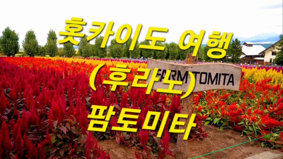 홋카이도 여행  (후라노)  팜토미타 : Hokkaido Travel (Furono) Farm Tomita