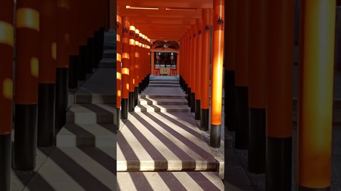【Kobe】Must-See Good Exotic Spot - Ikuta Shrine