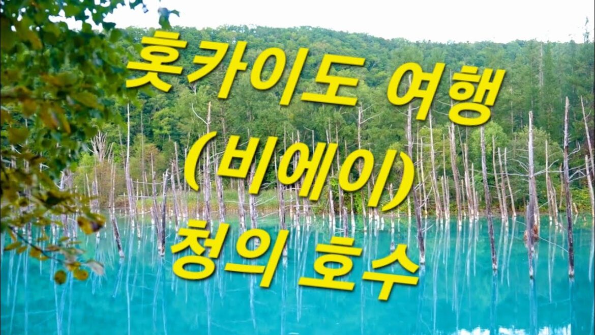 홋카이도 여행 (비에이) 청의 호수 :Hokkaido Travel (Biei) Shirogane Blue Pond