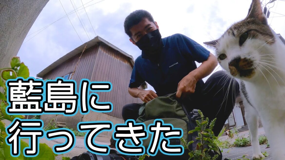 ねこの島　藍島（福岡県北九州市）に行ってきた