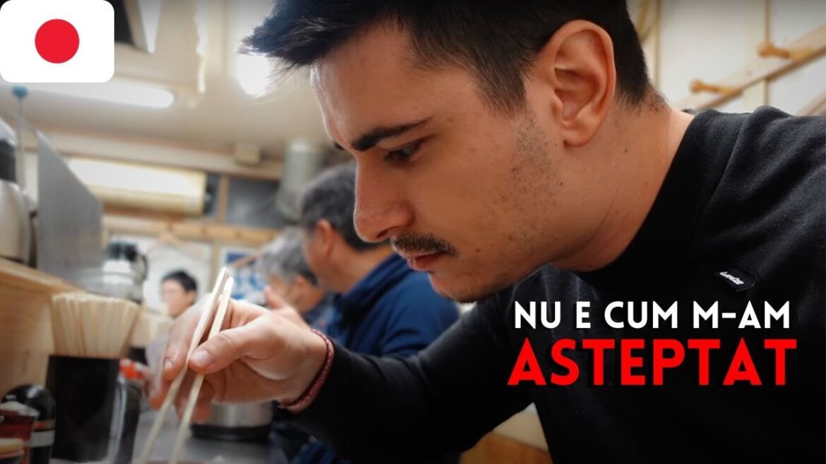 Am ajuns in JAPONIA, TARA VISURILOR MELE! Luat la INTREBARI de AUTORITATILE JAPONEZE!🇯🇵