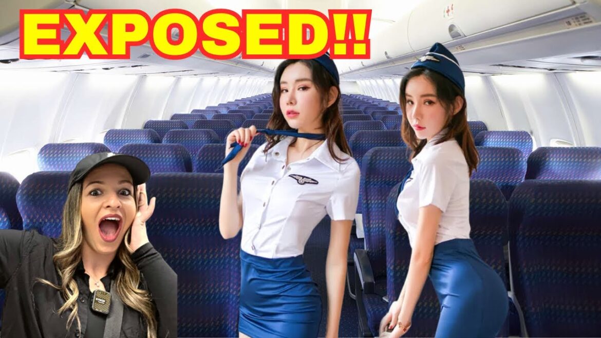 ZIPAIR Honest Review: Cheapest From Los Angeles to Tokyo: Is It the Worst Airline for Japan Travel?