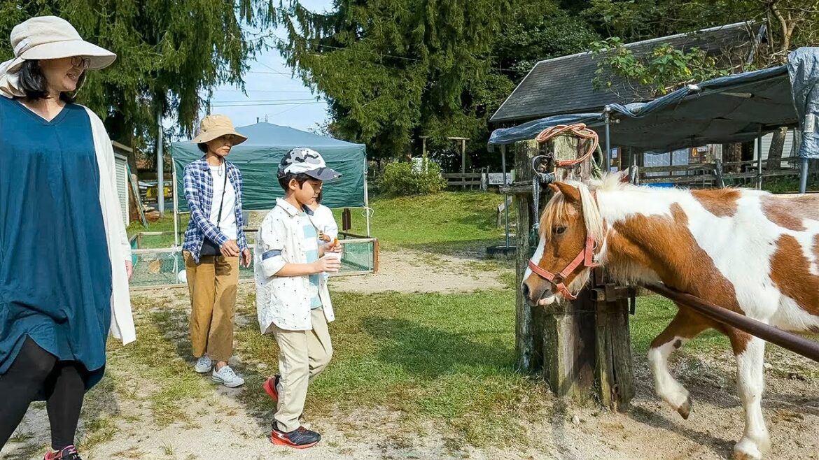 旭高原元気村 Asahi Nature Highland (Asahi Kogen Genki-Mura) 旭高原元気村 Asahi Nature Highland (Asahi Kogen Genki-Mura)