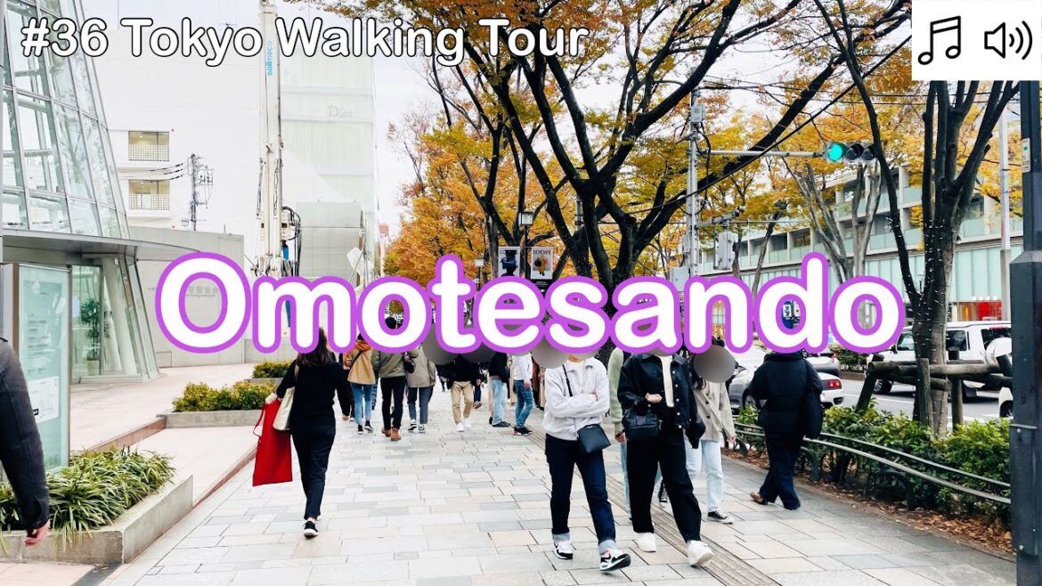 【# 36 Tokyo Walking Tour 2023】 Omotesando to Shibuya Walk 4K 【# 36 Tokyo Walking Tour 2023】 Omotesando to Shibuya Walk 4K