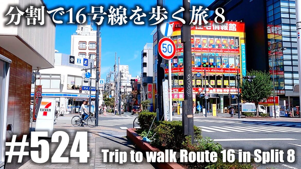 No.524【4K】分割で国道１６号線を歩く旅 ８