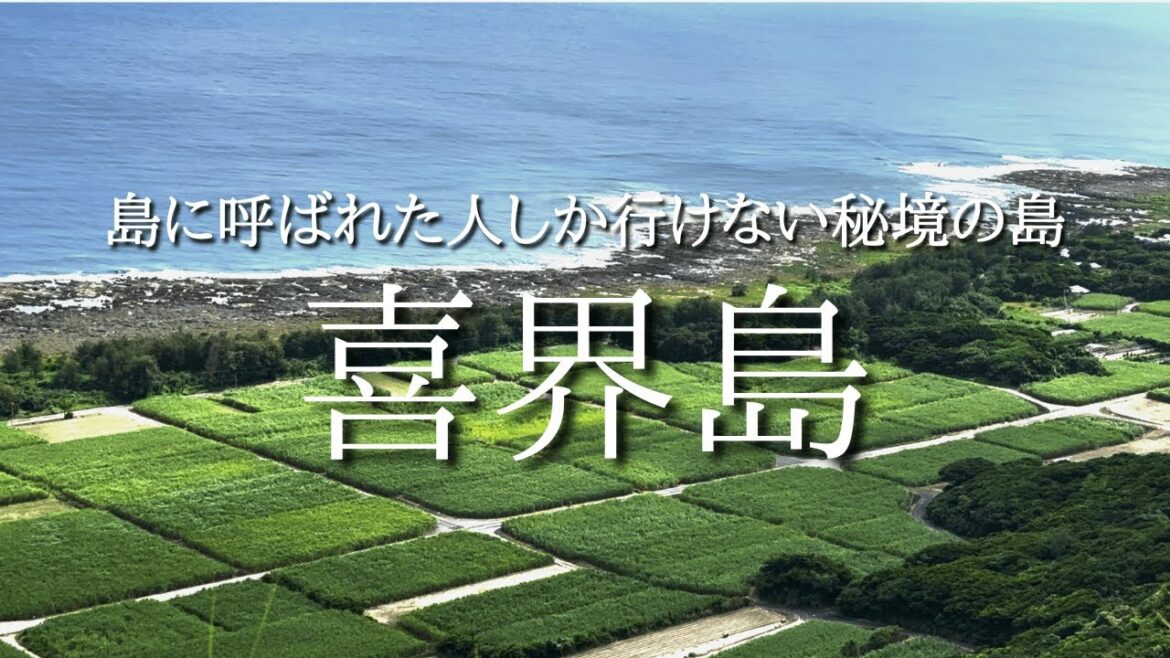 [喜界島旅行]  珊瑚礁でできた奄美の秘境 喜界島へ | 雨でも楽しめて食も満喫した充実の2泊3日の旅