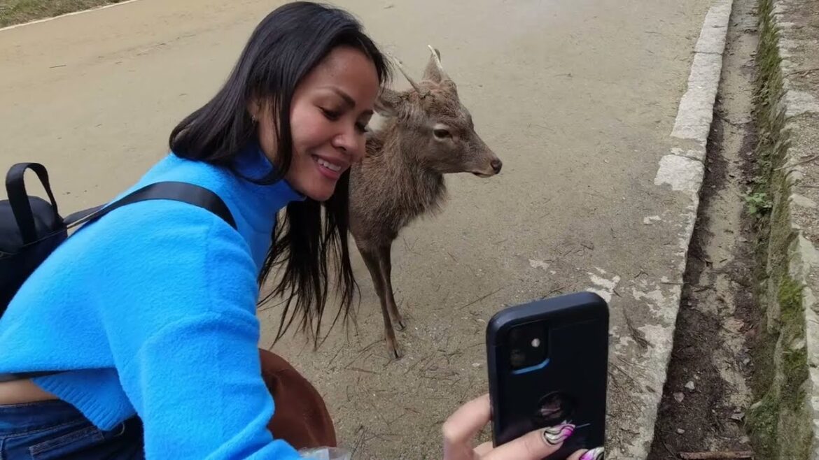 JAPAN-OSAKA-2023 (Ep.15: Friendly Deers-Nara Park)