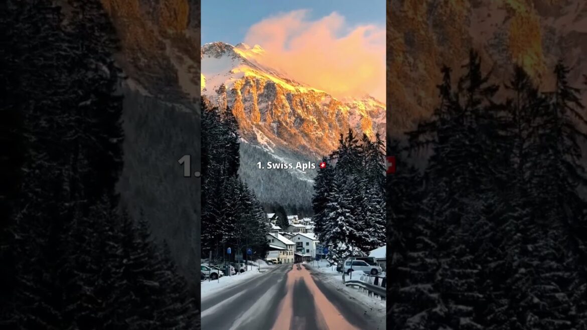 Where Would You Go? 🤔