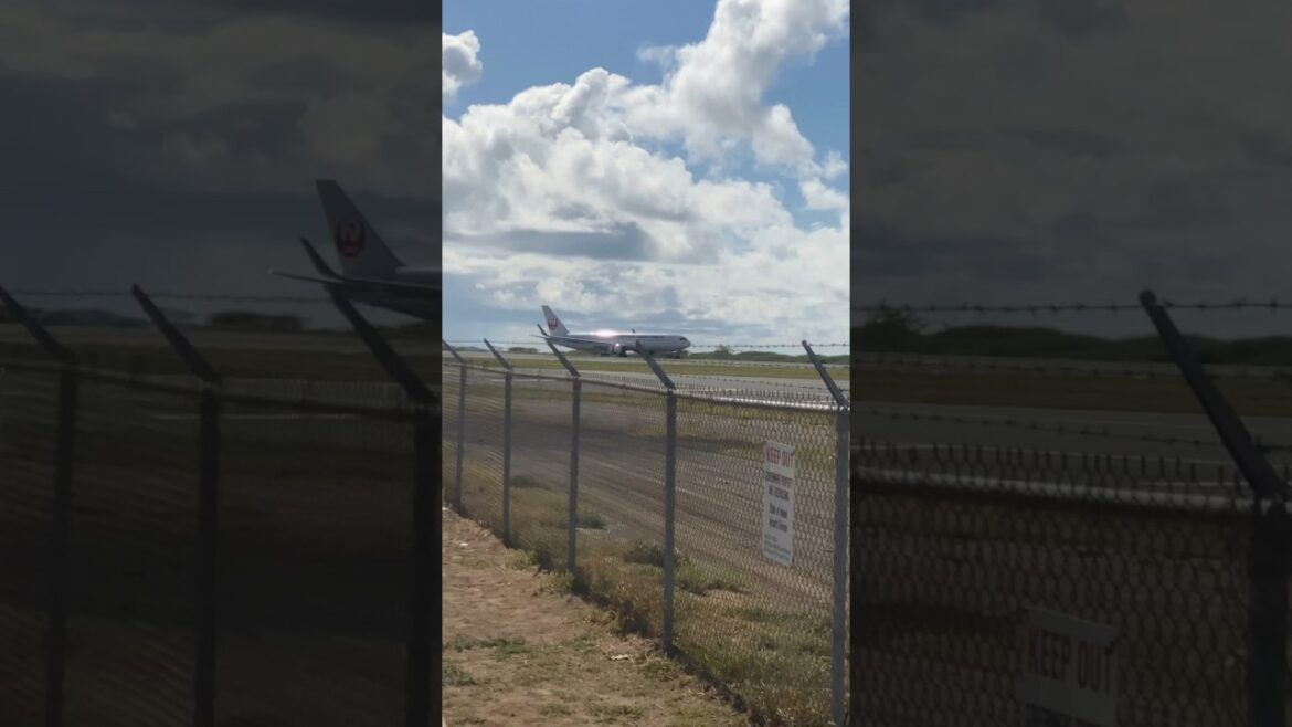 Honolulu🏝️ Plane Spotting | Japan Airlines B767 Landing! #shorts Honolulu🏝️ Plane Spotting | Japan Airlines B767 Landing! #shorts