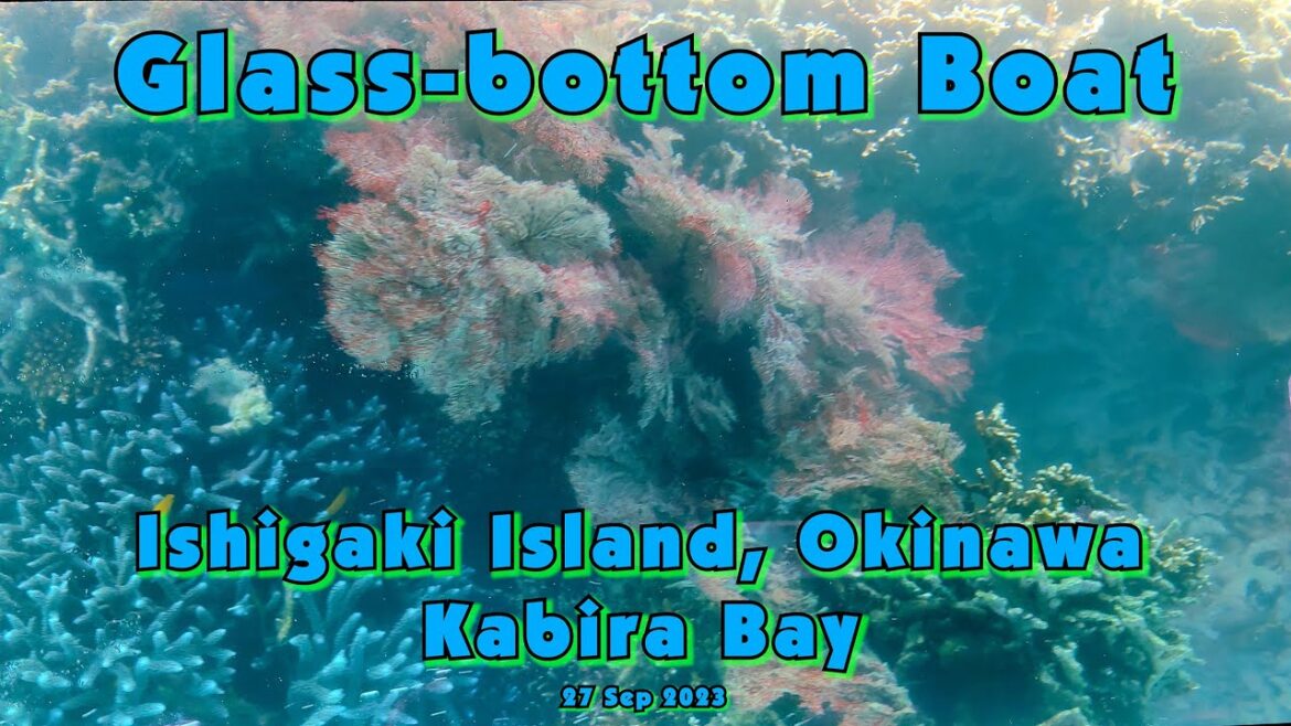 🛥Glass Bottom Boat, Okinawa - 27 Sep 2023 - 4K🛥