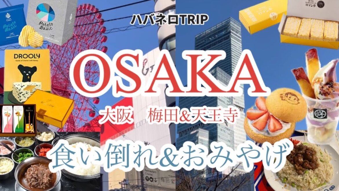 【日帰りツアー】大阪の最新グルメやリピ確グルメを食らい尽くす!! 【日帰りツアー】大阪の最新グルメやリピ確グルメを食らい尽くす!!