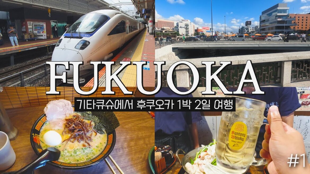 기타큐슈에서 후쿠오카 가는법! 후쿠오카 여행🚄소닉특급열차, 후쿠오카 맛집, 캐널시티 분수쇼 🇯🇵 일본 5박6일 여행 ep.3