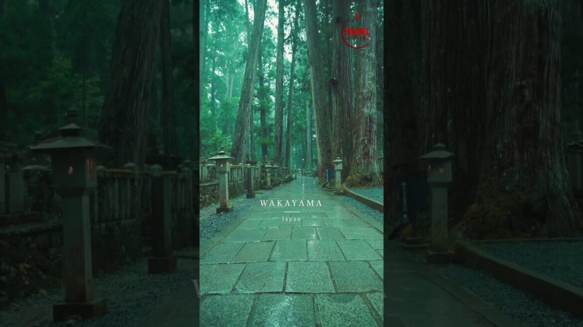 Rainy Day ☂️📍Koyasan, Wakayama 高野山 – 和歌山 Beautiful places in Japan 🇯🇵 #travel #japan #rain #wakayama Rainy Day ☂️📍Koyasan, Wakayama 高野山 - 和歌山 Beautiful places in Japan 🇯🇵 #travel #japan #rain #wakayama