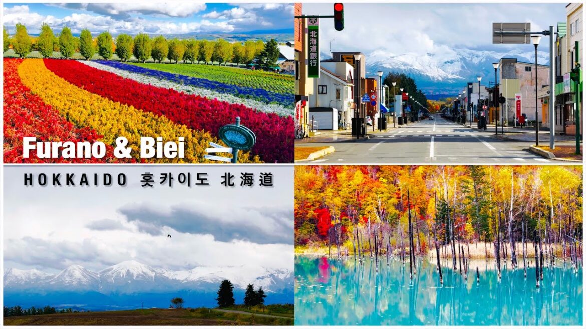 Four seasons in a day in Hokkaido | A Day Trip Furano & Biei | Snow Mt, Blue Pond, Waterfall
