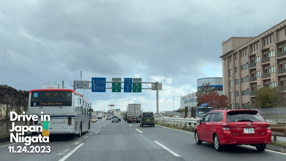 日本 -ドライブ - 新潟 - 11月24日2023年 | Drive in Japan - Niigata - 11.24.2023