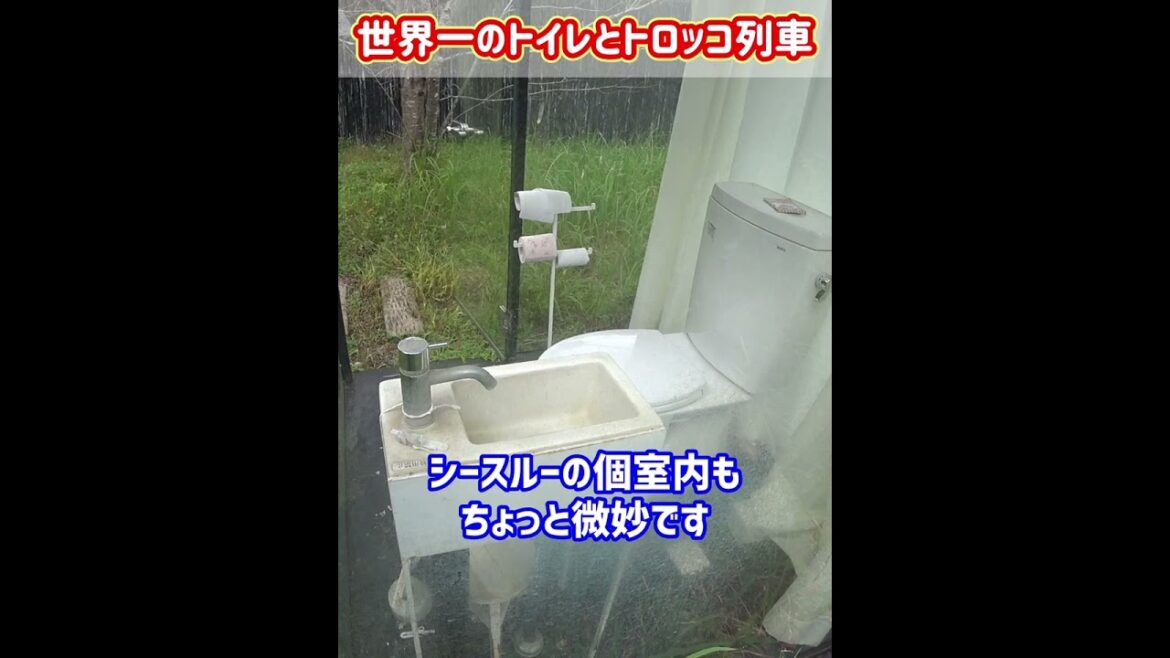 【小湊鐵道】世界一のトイレとトロッコ列車(2023年11月) 翻訳字幕あり (translation subtitles)  #飯給駅 #shorts 【小湊鐵道】世界一のトイレとトロッコ列車(2023年11月) 翻訳字幕あり (translation subtitles)  #飯給駅 #shorts