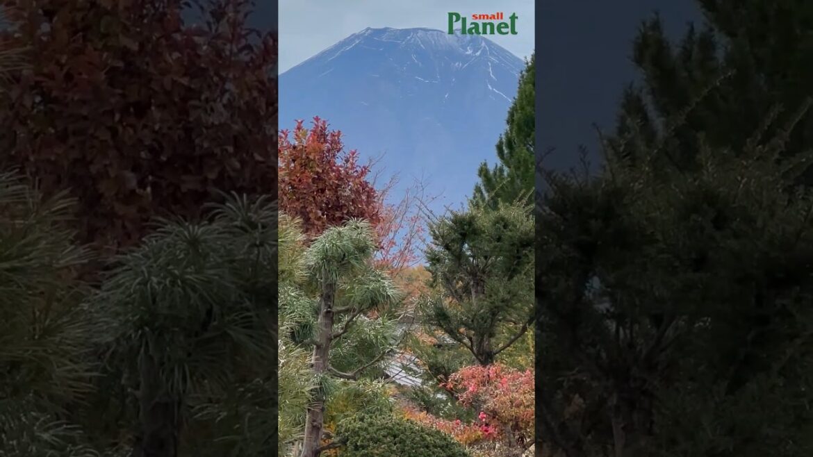 Mt. Fuji ( Japan ) Mt. Fuji ( Japan )