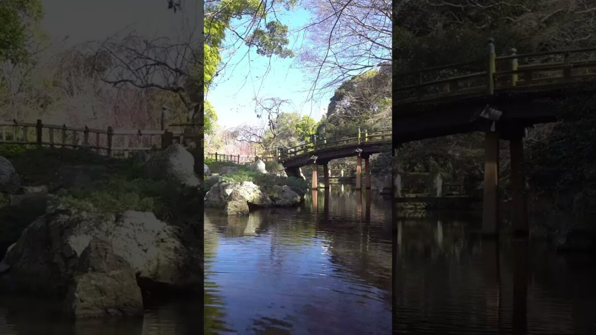 Hamamatsu Gardens, Japan #ASMR #Japan