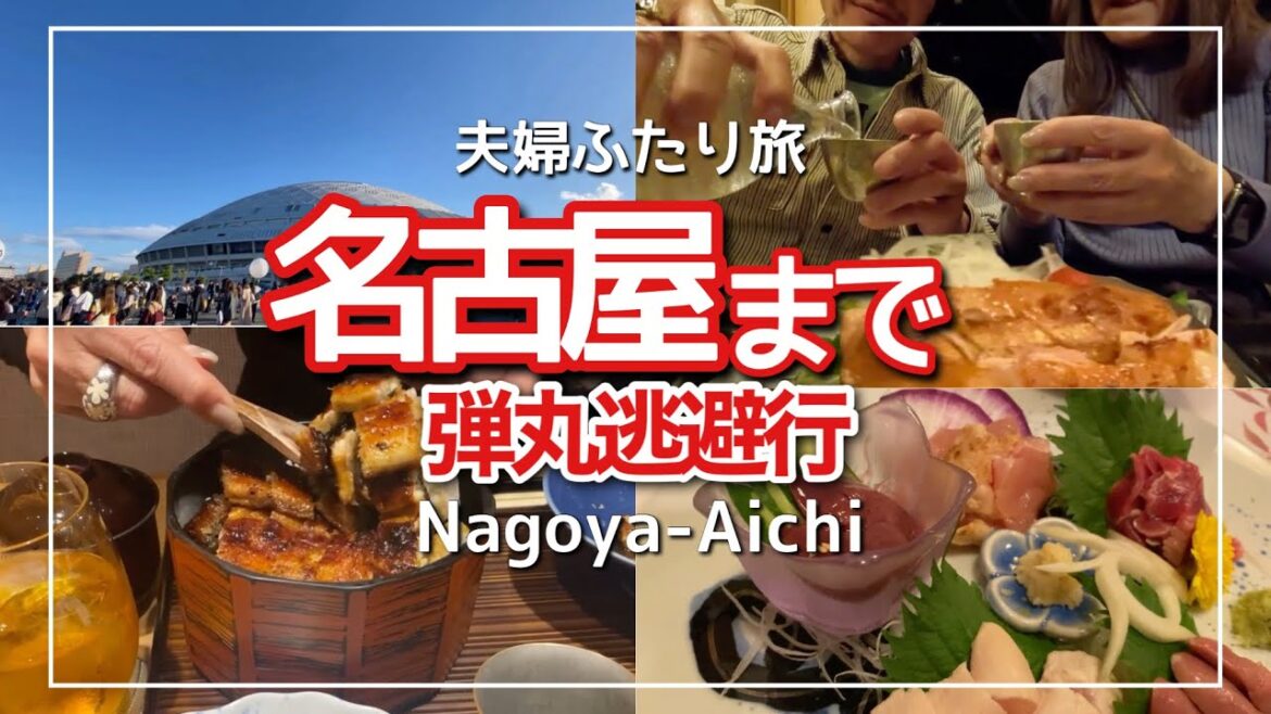 【名古屋旅vlog】コーチンに鰻も格別最高！地酒も旨い！妻の行事に追いかけ逃避行する旦那と食べ歩き