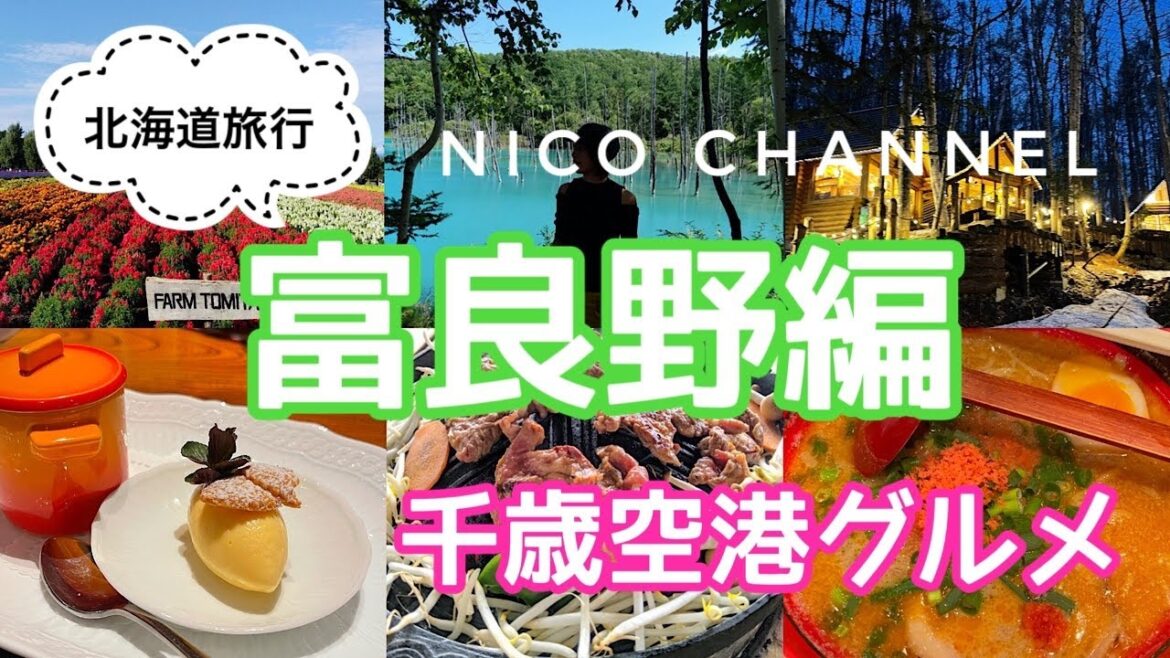 北海道、富良野観光グルメ🍽2022千歳空港グルメも食べ尽くす旅😃北海道神宮 北海道、富良野観光グルメ🍽2022千歳空港グルメも食べ尽くす旅😃北海道神宮