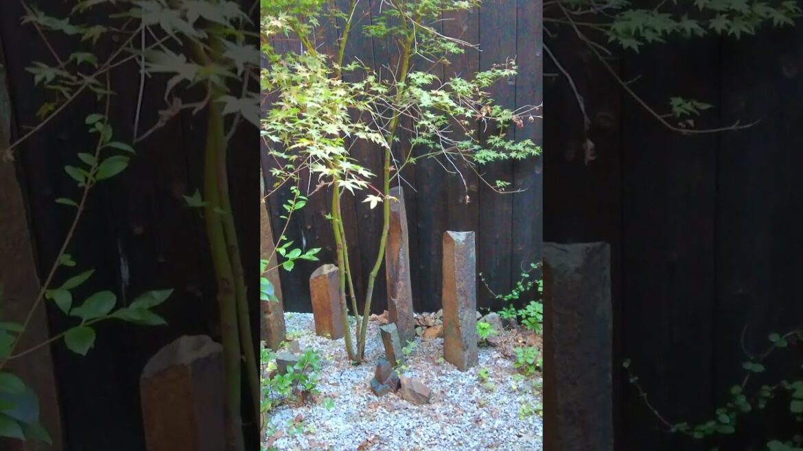 Staying in Traditional Japanese Inn Kyoto #japan Staying in Traditional Japanese Inn Kyoto #japan