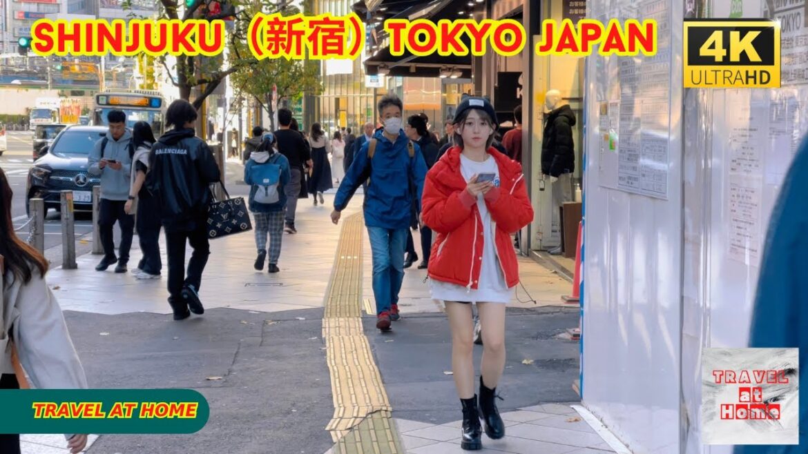 4k hdr japan travel | Walk in Shinjuku（新宿）Tokyo Japan |  Relaxing Natural City ambience