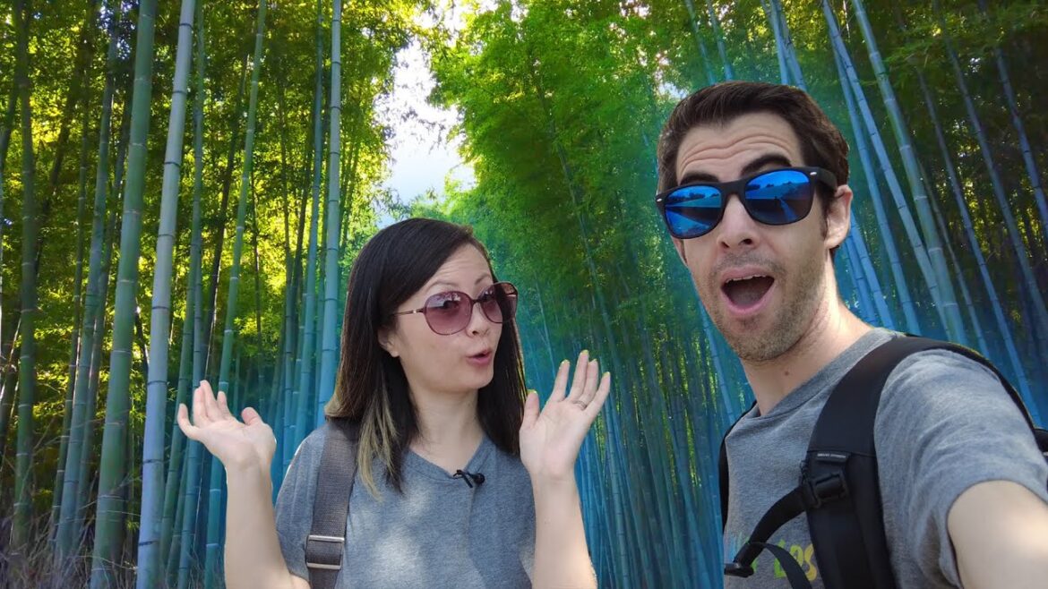 Our First Time at Arashiyama πππ in KYOTO Our First Time at Arashiyama πππ in KYOTO